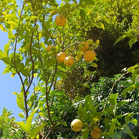 La Casa Di Sisi Apartment