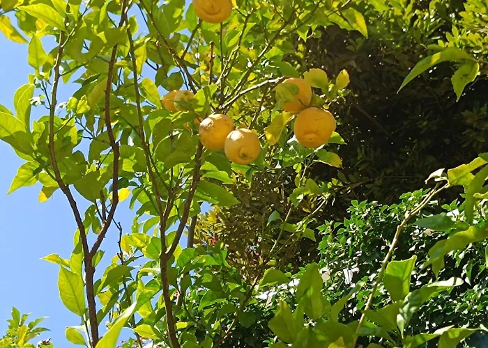 La Casa Di Sisi Apartment